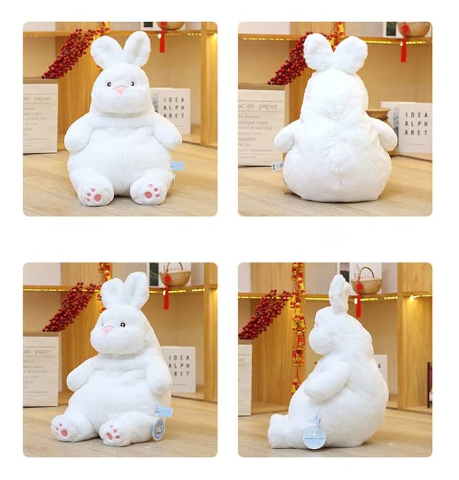 ウサギコスチュームの人形38cm 51Hz+6uxFQL._UF894,1000_QL80_.jpg
